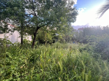 Moradia T3 para Venda em São Martinho de Árvore e Lamarosa