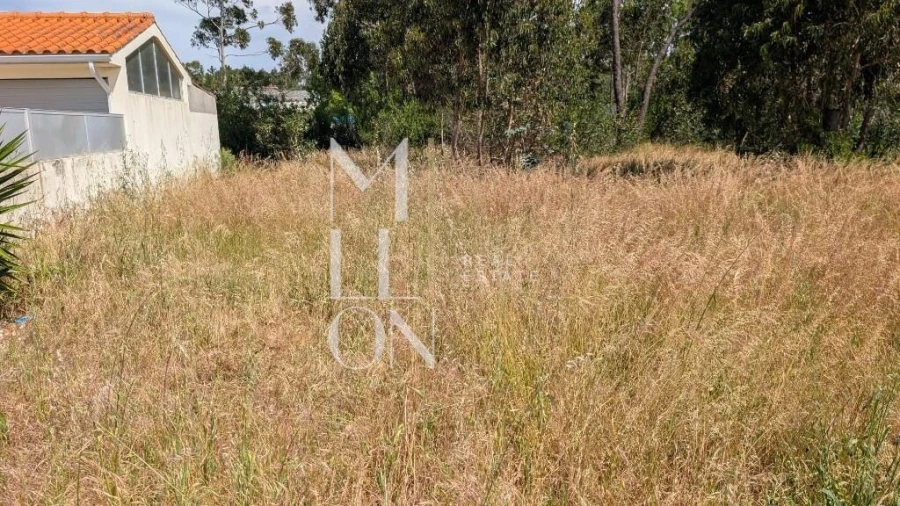 Terreno para Venda em Gafanha da Encarnação Foto 5