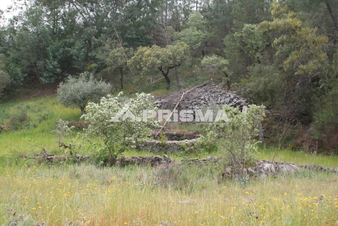 Terreno para Venda em Benquerenças Foto 24