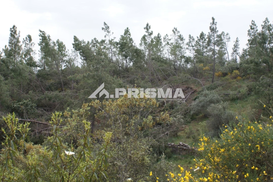 Terreno para Venda em Benquerenças Foto 7