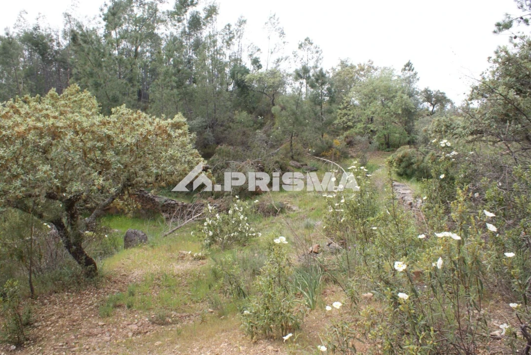 Terreno para Venda em Benquerenças Foto 2