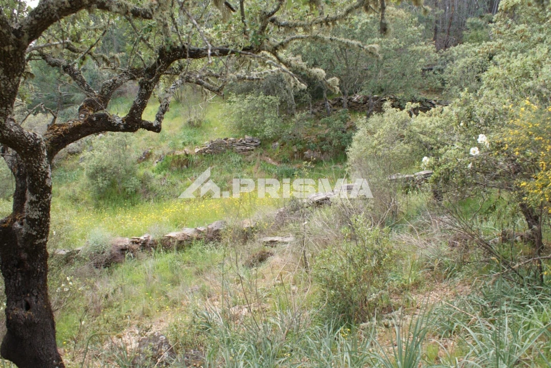 Terreno para Venda em Benquerenças Foto 6