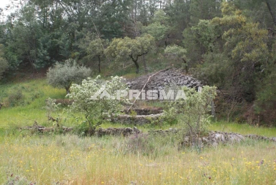 Terreno para Venda em Benquerenças