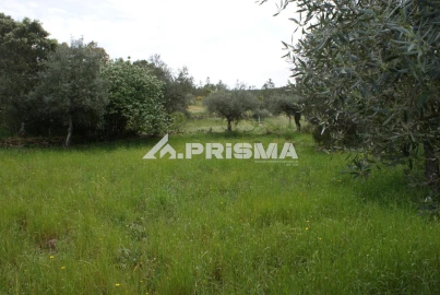 Terreno para Venda em Benquerenças