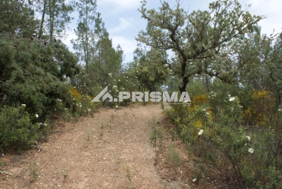 Terreno para Venda em Benquerenças