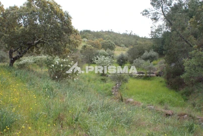 Terreno para Venda em Benquerenças