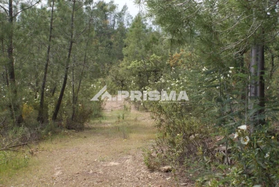 Terreno para Venda em Benquerenças