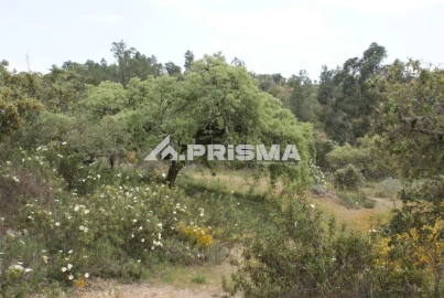 Terreno para Venda em Benquerenças