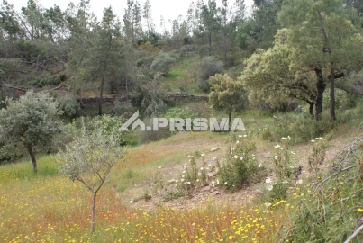 Terreno para Venda em Benquerenças