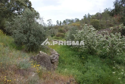 Terreno para Venda em Benquerenças