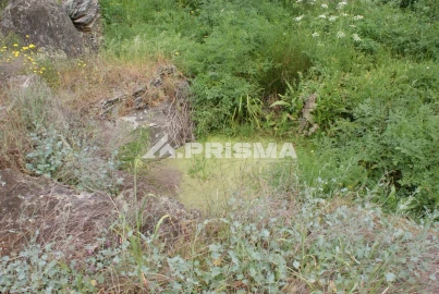 Terreno para Venda em Benquerenças