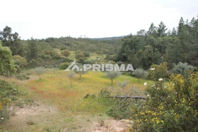 Terreno para Venda em Benquerenças