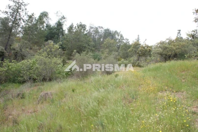 Terreno para Venda em Benquerenças