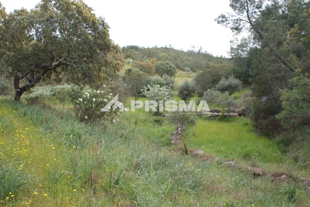 Terreno para Venda em Benquerenças Foto 13