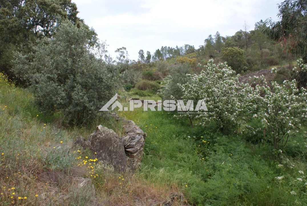 Terreno para Venda em Benquerenças Foto 22