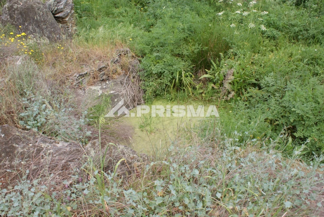 Terreno para Venda em Benquerenças Foto 21