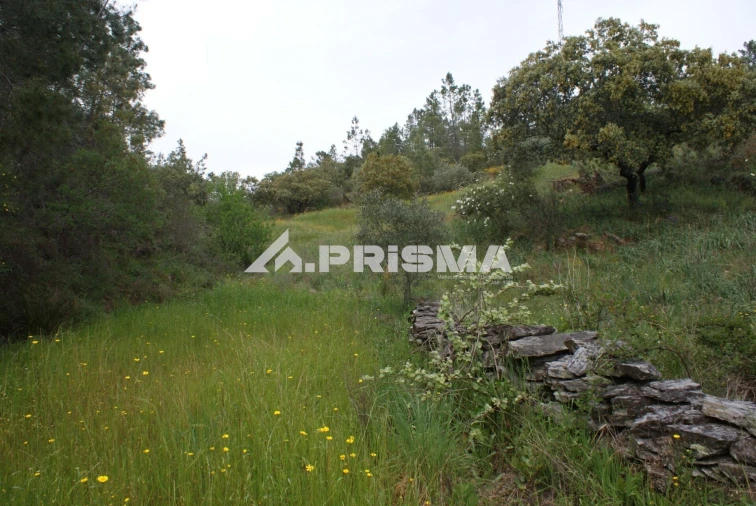 Terreno para Venda em Benquerenças Foto 18