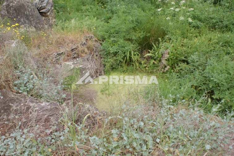 Terreno para Venda em Benquerenças Foto 21