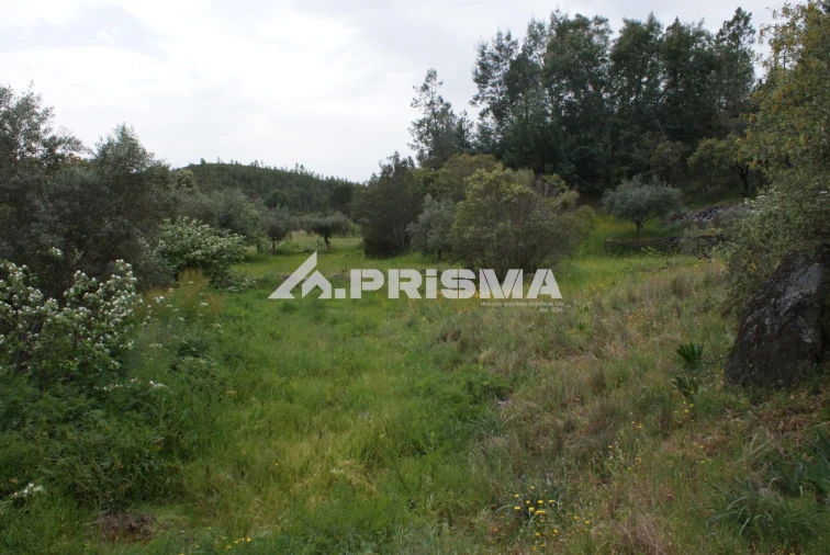 Terreno para Venda em Benquerenças Foto 23
