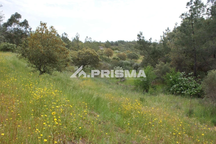 Terreno para Venda em Benquerenças Foto 26