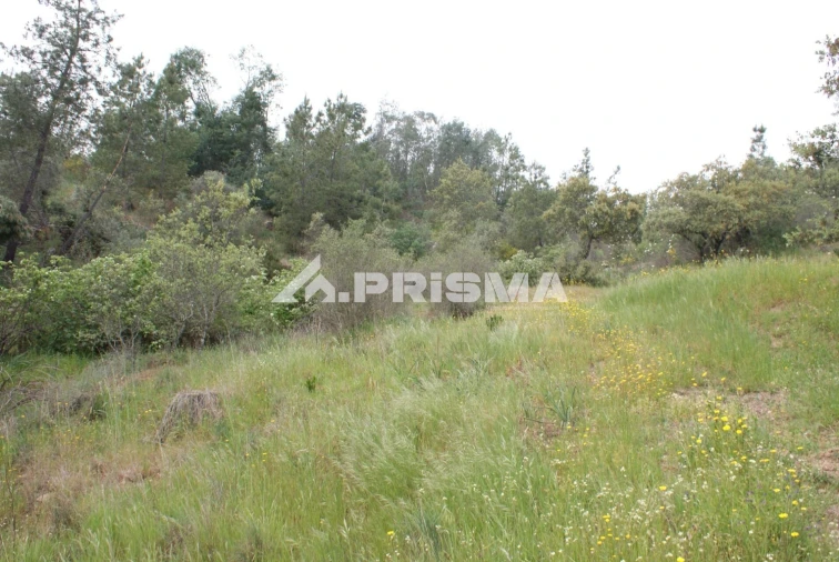 Terreno para Venda em Benquerenças Foto 14