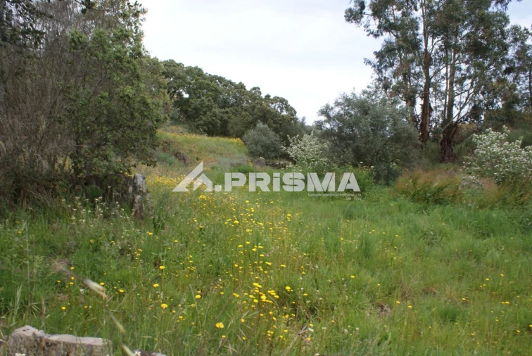 Terreno para Venda em Benquerenças Foto 20