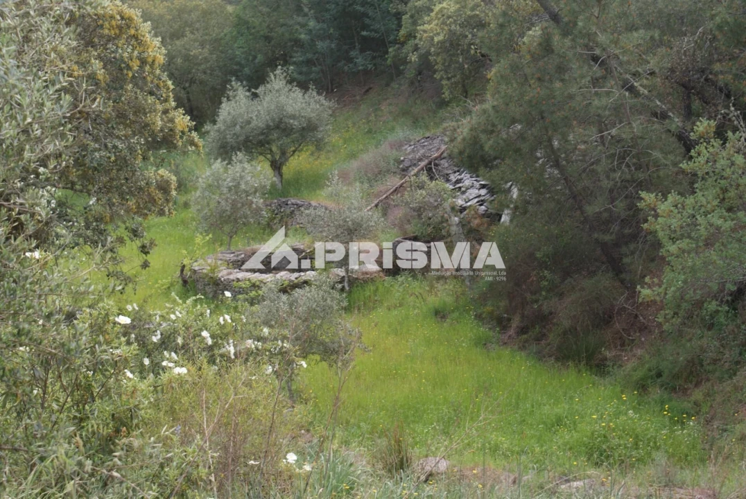 Terreno para Venda em Benquerenças Foto 11