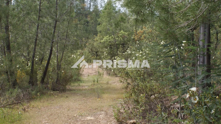 Terreno para Venda em Benquerenças