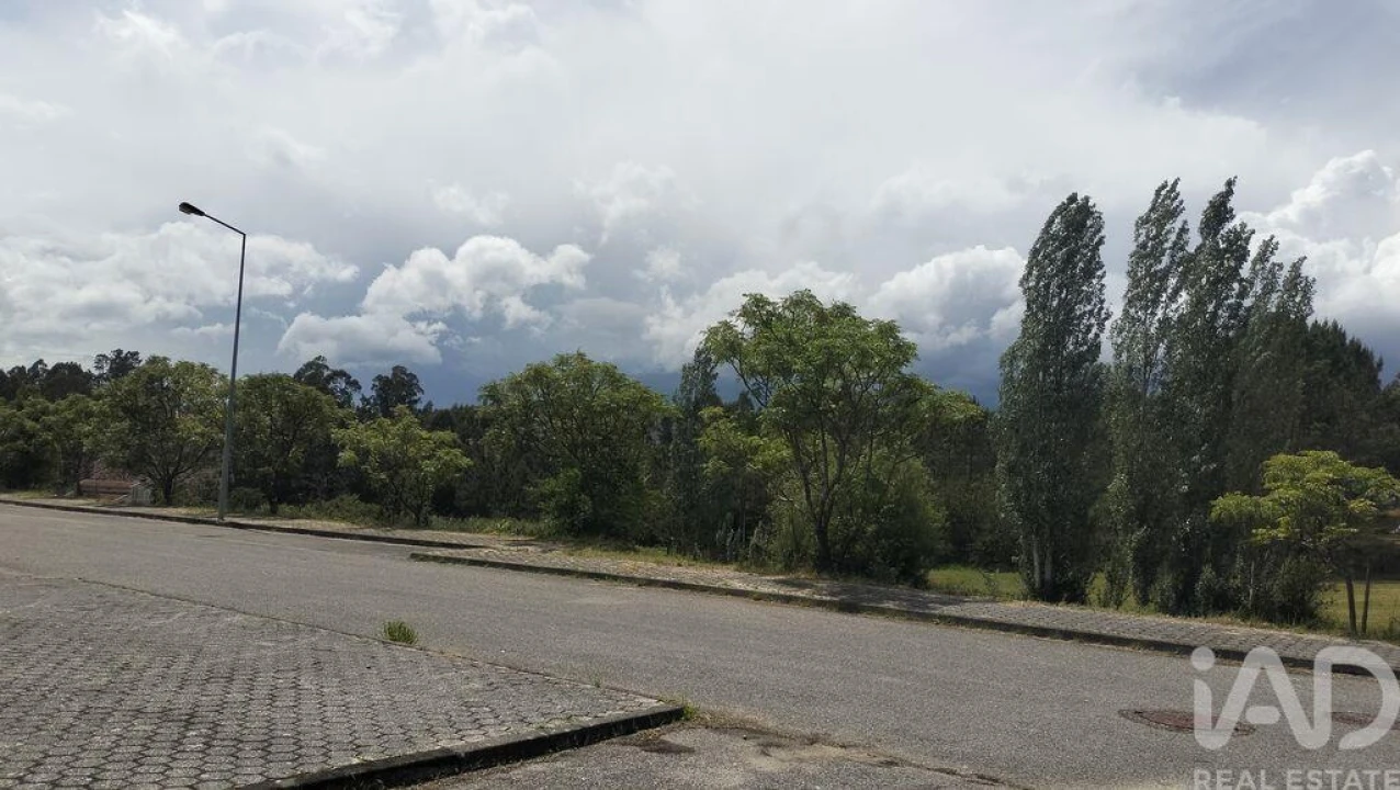 Terreno para Venda em Águeda e Borralha Foto 34