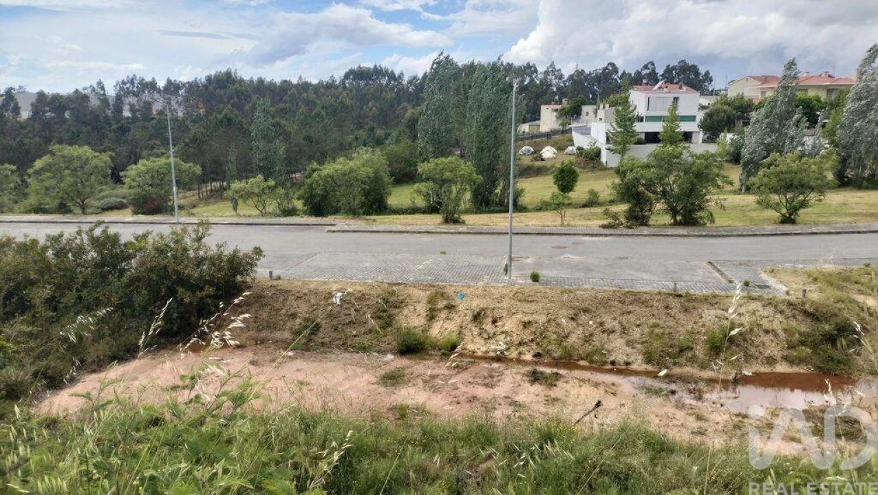 Terreno para Venda em Águeda e Borralha Foto 6