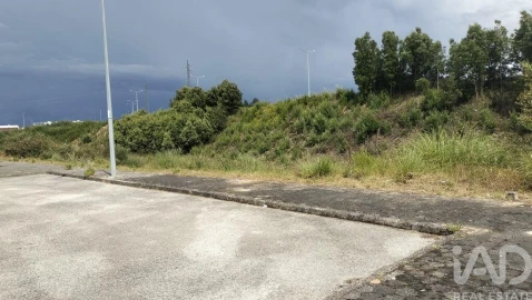 Terreno para Venda em Águeda e Borralha