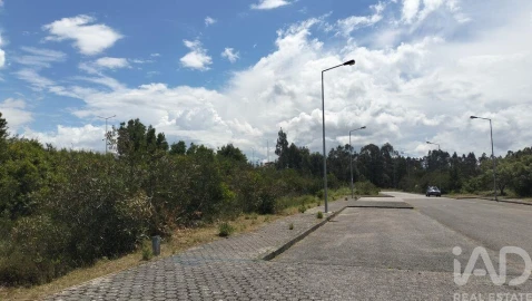 Terreno para Venda em Águeda e Borralha