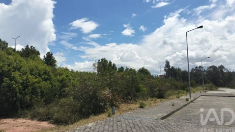 Terreno para Venda em Águeda e Borralha