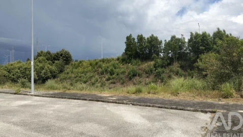 Terreno para Venda em Águeda e Borralha