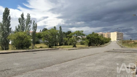 Terreno para Venda em Águeda e Borralha