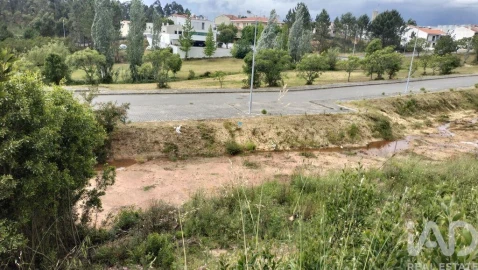 Terreno para Venda em Águeda e Borralha