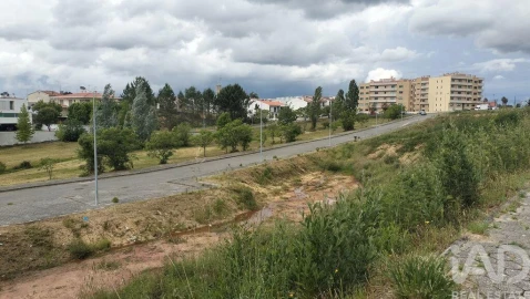 Terreno para Venda em Águeda e Borralha