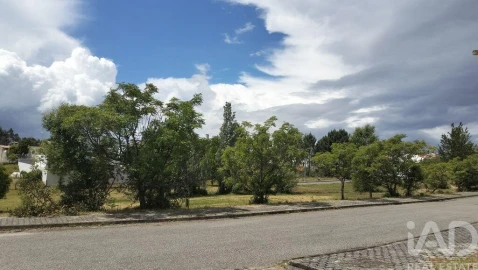 Terreno para Venda em Águeda e Borralha