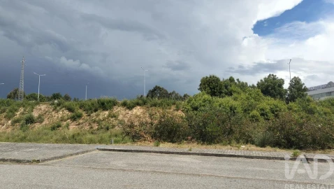 Terreno para Venda em Águeda e Borralha
