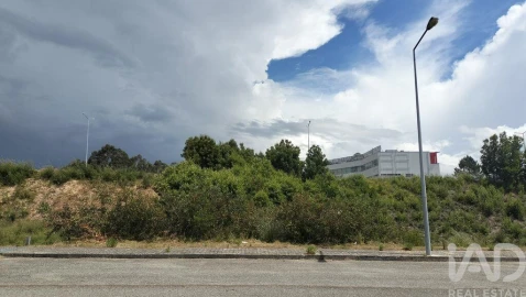 Terreno para Venda em Águeda e Borralha