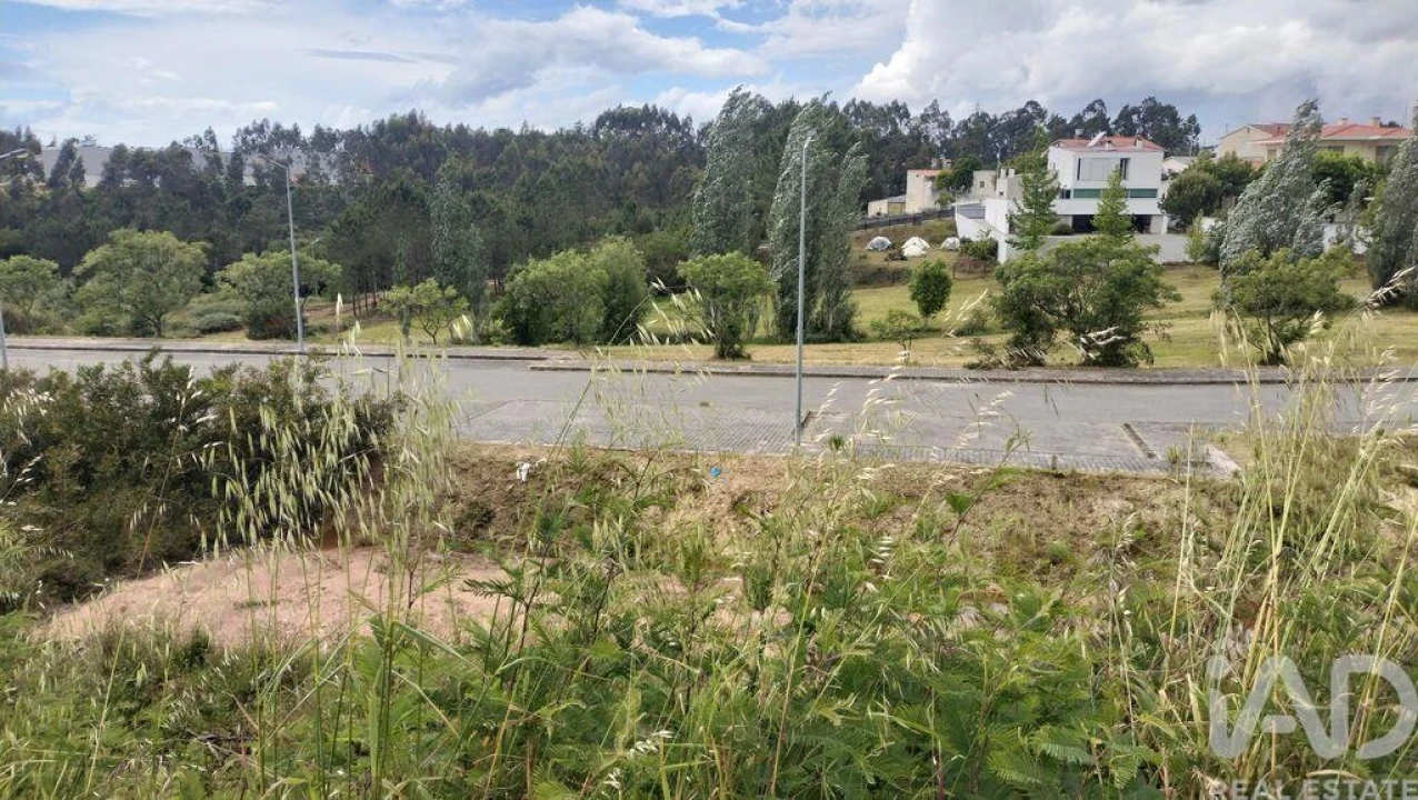 Terreno para Venda em Águeda e Borralha Foto 7