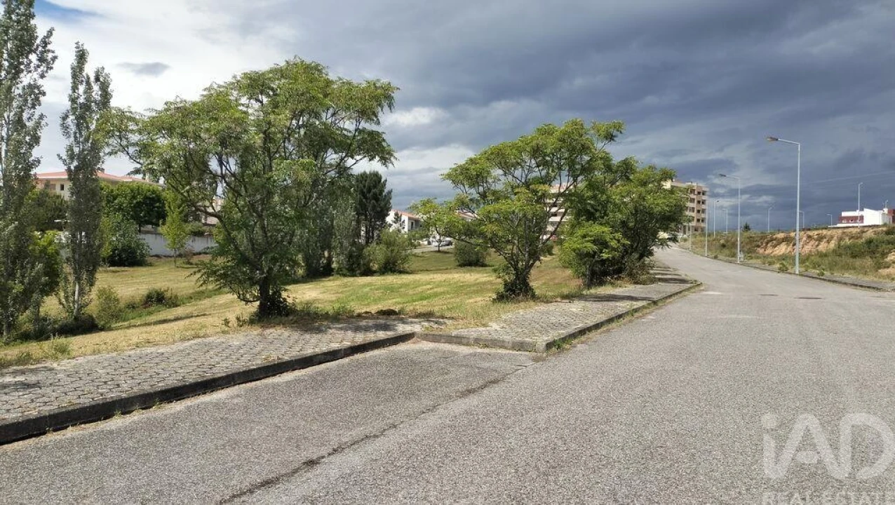Terreno para Venda em Águeda e Borralha Foto 20