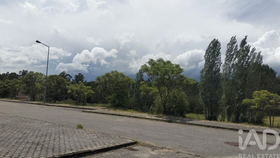 Terreno para Venda em Águeda e Borralha Foto 34