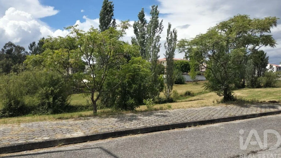 Terreno para Venda em Águeda e Borralha Foto 19