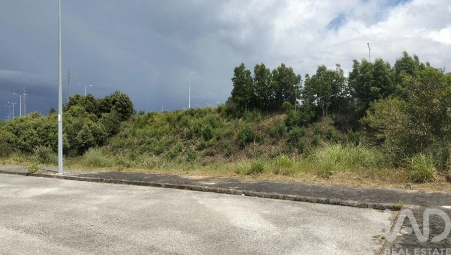 Terreno para Venda em Águeda e Borralha Foto 4