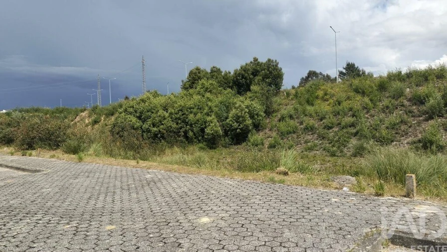 Terreno para Venda em Águeda e Borralha Foto 8
