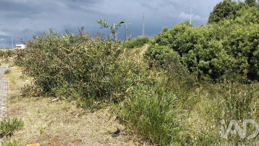 Terreno para Venda em Águeda e Borralha Foto 29