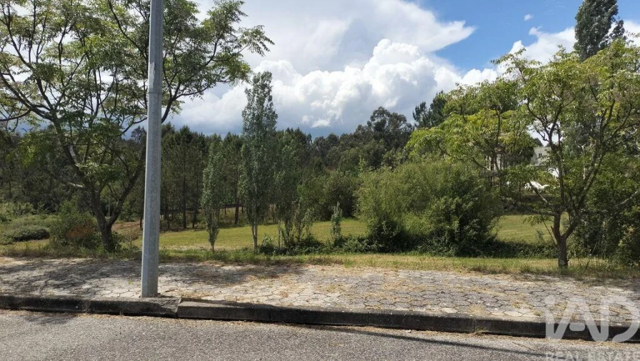 Terreno para Venda em Águeda e Borralha Foto 18