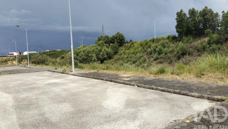 Terreno para Venda em Águeda e Borralha Foto 10