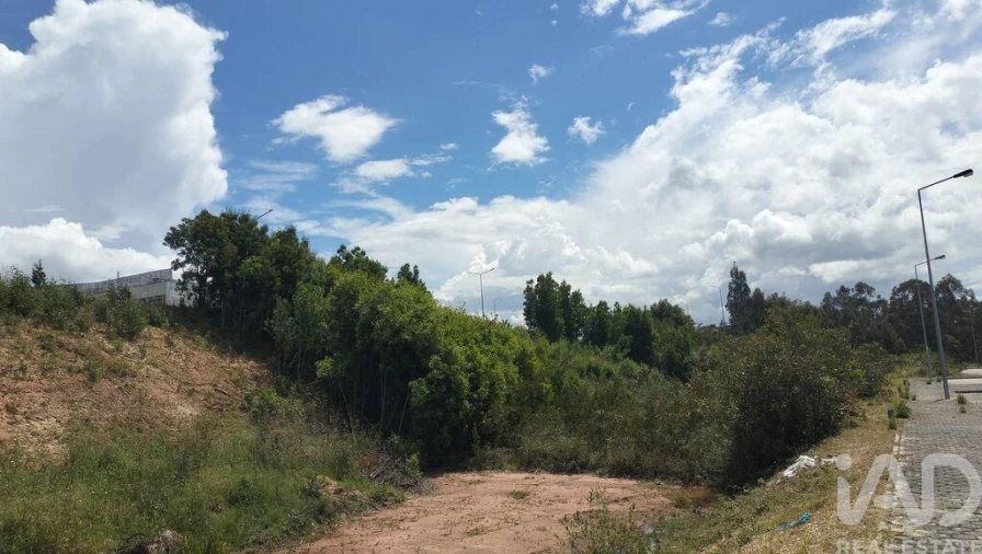 Terreno para Venda em Águeda e Borralha Foto 33
